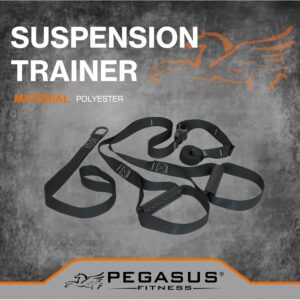 Ιμάντες Ενδυνάμωσης Pegasus® (Suspension Trainer)